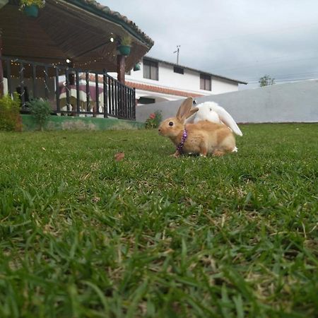 Hotel Quinta Winay Yaruqui Exterior foto